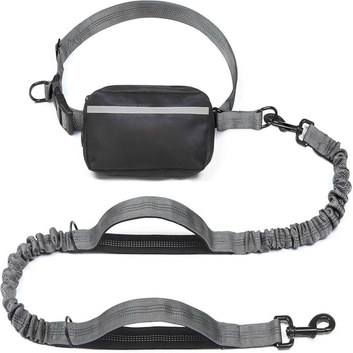 Hands-Free Bungee Dog Leash with Detachable Zipper Pouch