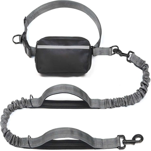 Hands-Free Bungee Dog Leash with Detachable Zipper Pouch