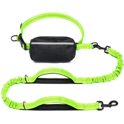 Hands-Free Bungee Dog Leash with Detachable Zipper Pouch