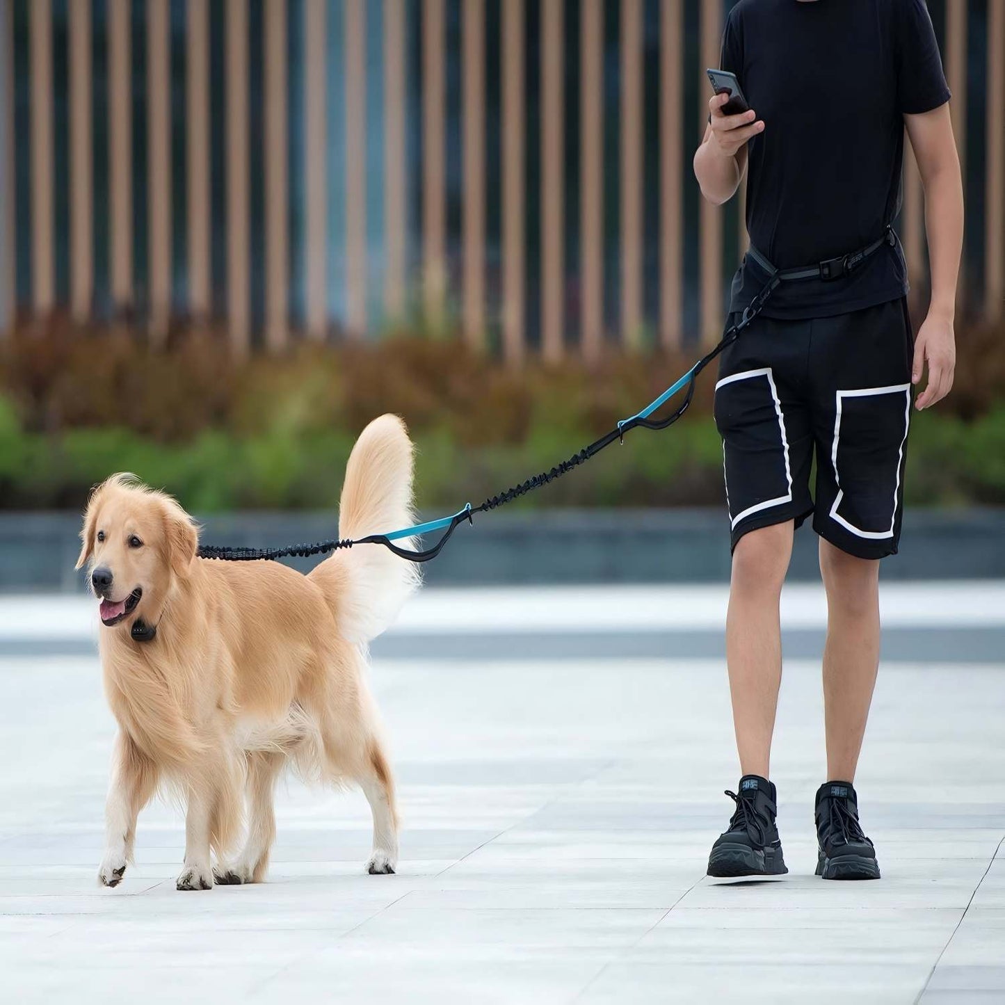 Hands-Free Bungee Dog Leash with Detachable Zipper Pouch