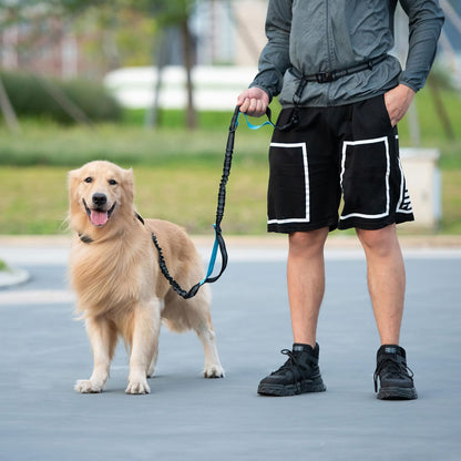 Hands-Free Bungee Dog Leash with Detachable Zipper Pouch